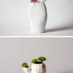 Cactus : pot de fleur