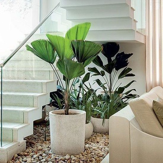 Un jardin en sous escalier | via Pinterest