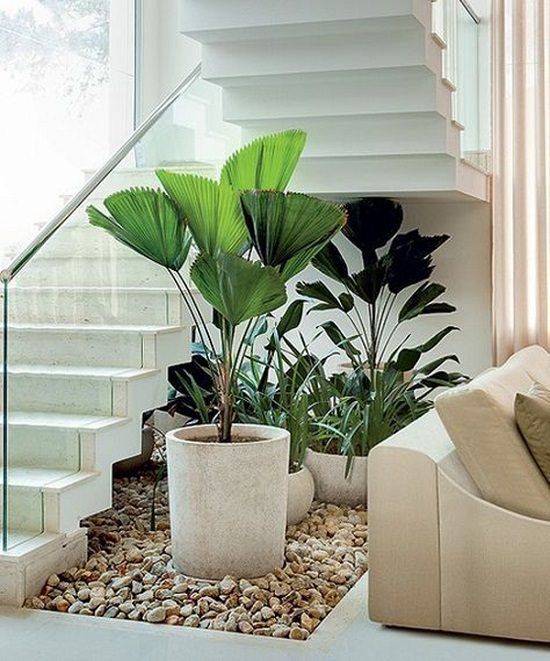 Un jardin en sous escalier | via Pinterest
